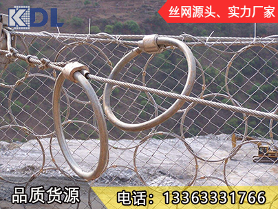 环形网